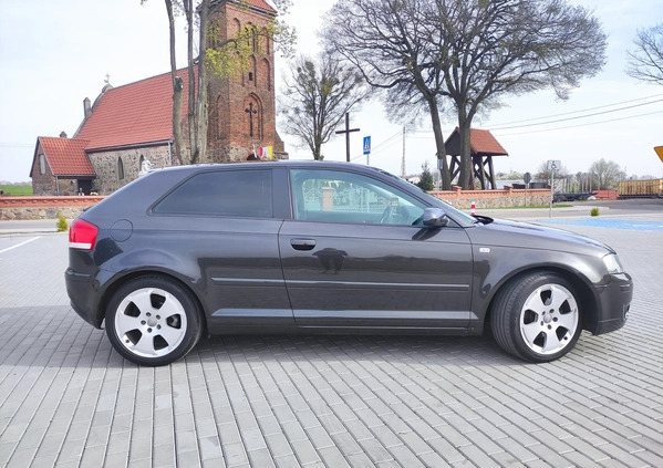 Audi A3 cena 20400 przebieg: 254422, rok produkcji 2008 z Gdańsk małe 154